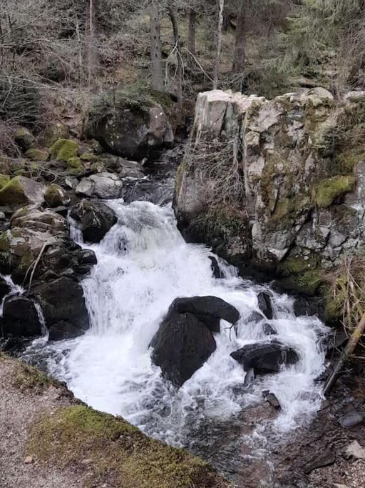 Vacances Xonrupt-Gerardmer Dış mekan fotoğraf